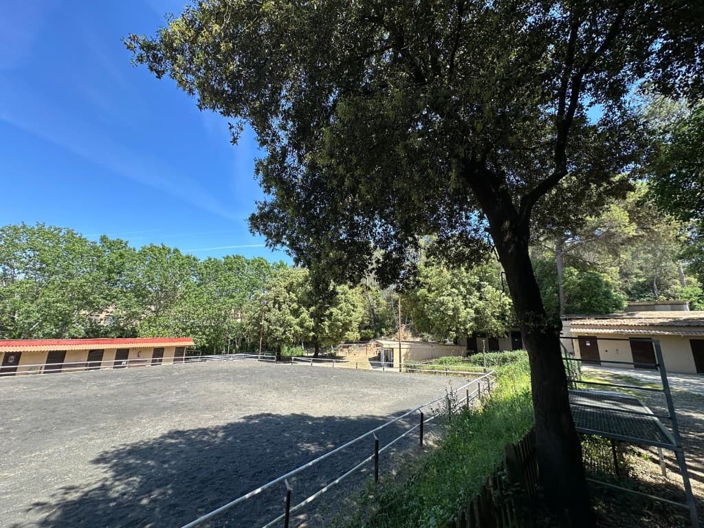 L'activitat es fa a la Hípica Fundació Federica Cerdà, un entorn natural i tranquil on els infants aprenen en contacte directe amb els cavalls i la natura.